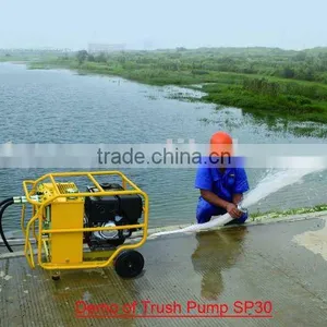 Hydraulic Trush Pump thumbnail-1