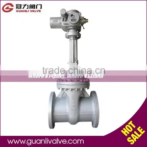 Motorized Gate Valve thumbnail-1