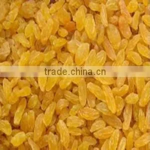 Top Quality AD Dried Golden Raisins for Sale thumbnail-4