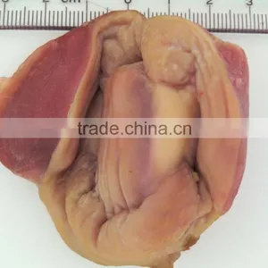 Application Images of USB3.0 Industrial Inspection&Microscopic Observation Camera thumbnail-1