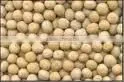 Yellow Peas thumbnail-1