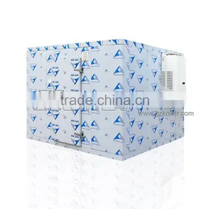 Easy Installation Cold Chiller Room With Mono Block Condensing Unit thumbnail-1