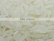 Long Grain IRRI 9 thumbnail-1