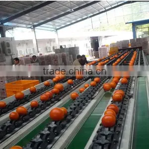 Fresh Gannan Navel Orange, Best Quality China Navel Orange thumbnail-5