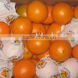 Navel Orange Supplier in 15KG Carton thumbnail-1