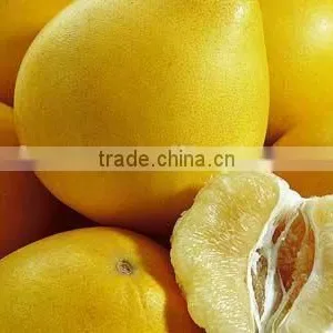 Organic Pomelo for Sale thumbnail-1