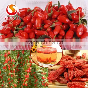 Ningxia Goji Berries is the Best Tonic thumbnail-2