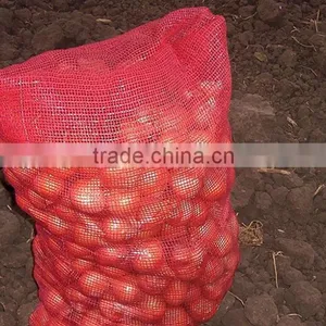 Fresh Onion Different Sizes thumbnail-1