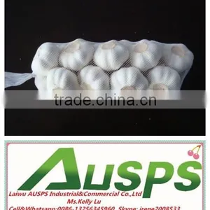 First Grade Fresh Pure White Garlic thumbnail-3
