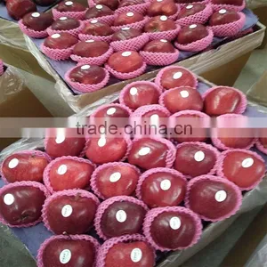 Pome Fruit Fresh Huaniu Apple Export Fresh Red Delicious Apple Fruit thumbnail-6