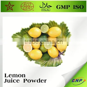 Organic Freeze Dried Fruit Powder thumbnail-4