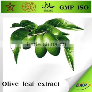 Olive Leaf Powder Extract in Bulk thumbnail-2