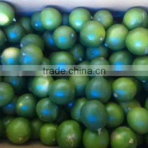 Vietnam Fresh Seedless Lime, Fresh Lemon, Persian Lime thumbnail-1