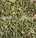 Indian Fennel Seeds thumbnail-3