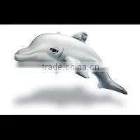 Inflatable Dolphin thumbnail-1