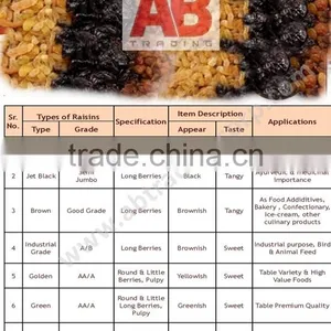 Black Raisins Good Quality /Dried Raisins From India / Best Quality thumbnail-6
