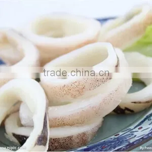 FGB-118 Auomatic Squid Ring Cutting Machine, Squid Rings Slicing Machine, Squid Cutter thumbnail-3