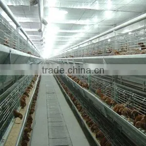 Factory Direct Selling of Chicken Cage thumbnail-1