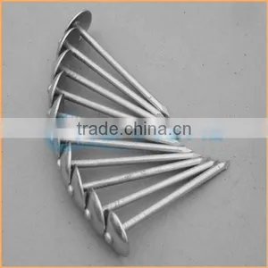 Top Quality Competitive Zinc Roofing Nail With Umbrella Head From Trusted Chuanghe Suppliers thumbnail-3