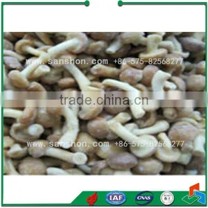 LSZ-5.0 IQF Vegetable And Fruit Fluidized Quick Freeze Machine thumbnail-5