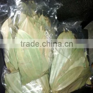 Bay Leaf thumbnail-1