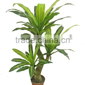 Cheap Price HX010421 Plastic Bonsai thumbnail-2