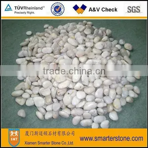 SMT White Polished Pebbles thumbnail-1