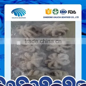 Frozen Baby Octopus Flower Low Price From Factory thumbnail-1