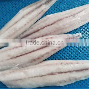 Frozen Mahi-mahi and Coryphaena Hippurus Fillet thumbnail-3