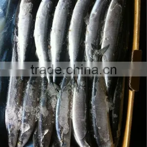 Frozen Pacific Saury #4 thumbnail-1