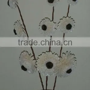 Sola Junia Daisy Stick thumbnail-1