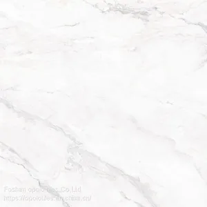 Fullbody Tiles / Glazed Tiles 800X800 thumbnail-3