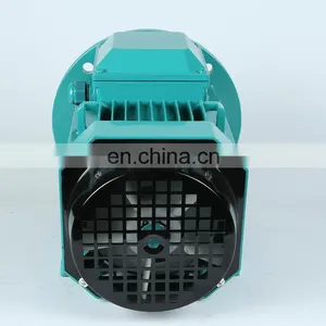 YE2-160M-6 3 Phase Asynchronous Induction AC Motor 7.5KW 10HP thumbnail-4