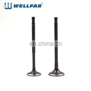 European Vehicle Top Quality Car Intake Engine Valve for Passat b5 1.8T thumbnail-1