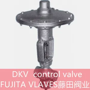 DKV FUJITA VLAVES thumbnail-2