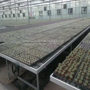 Tidal Irrigation Mobile Seedbed thumbnail-2