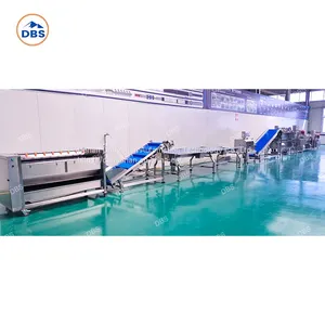 Root Vegetable Processing Production Line thumbnail-3