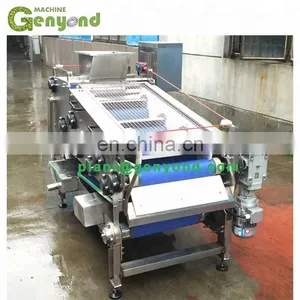 Belt Press Extractor Stainless Steel Industrial Belt Press Juicer Extractor / Double Belt Fruit Juice Extracting Machine thumbnail-5