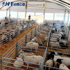 Laser-Cut Welded Oval Rail Cow Fence Panel for Horse, Sheep, and Livestock thumbnail-3