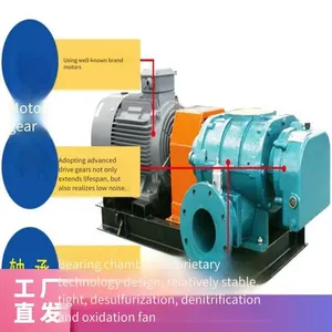 Desulfurization and Denitrification Oxidation Fan, Roots Blower, Material Conveying, Sewage Aeration, Aquaculture Oxygenation thumbnail-3