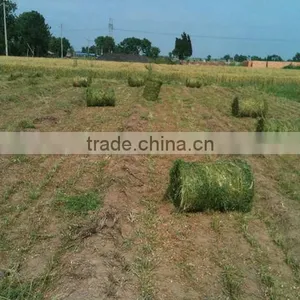 Mini Grass Round Baler thumbnail-3