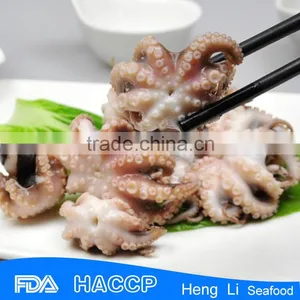 Frozen Baby Octopus thumbnail-1