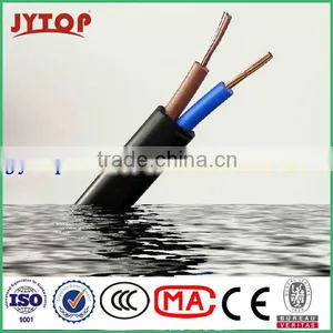 300/500V Twin Flat Wire thumbnail-1