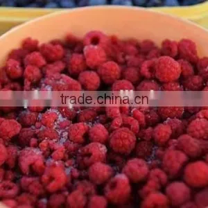 IQF Red Raspberry thumbnail-1