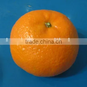 Mandarin Oranges thumbnail-1