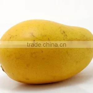 Fresh Mango thumbnail-1