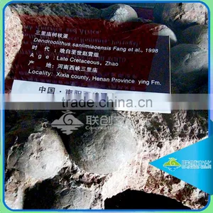 Dinosaurs Eggs Indoor Equipment Museum Emulational Dinosaur Model thumbnail-1