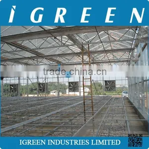 Venlo Type Flower Multi Span Commercial Greenhouse thumbnail-2