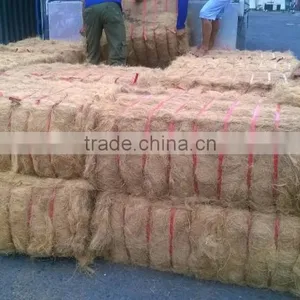 Coconut Fiber High Quality (qq : 2598494113) thumbnail-3