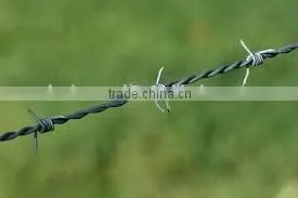 Direct From Factory Quality Galvanized Barbed Wire thumbnail-2